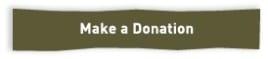 FriendsofArava_donation-button