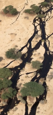 Arava Oil Spill (2)