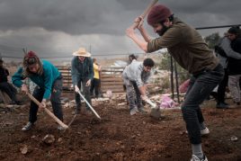 Arava Institute alumni tending to a garden during workday